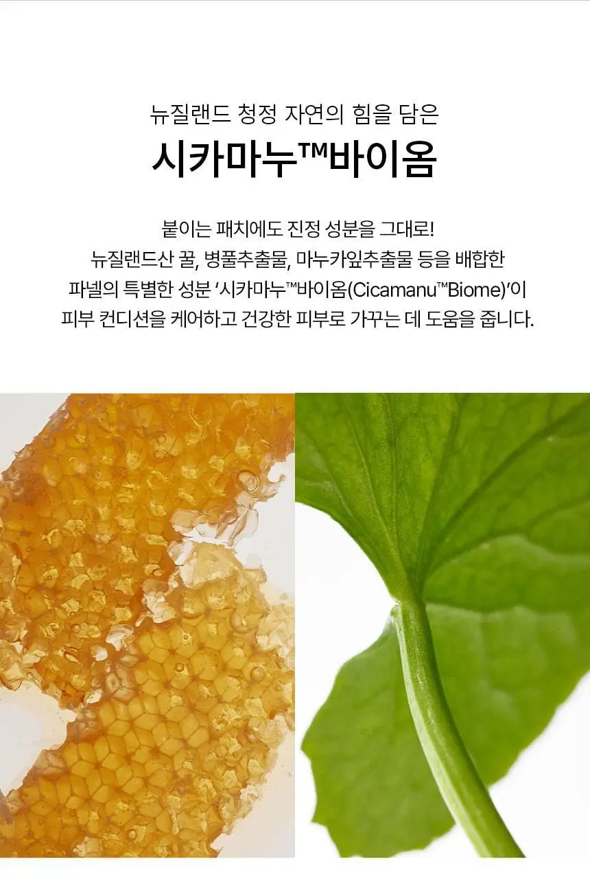 [특별기획] 파넬 시카마누 클리어 패치 멀티 +6매(스팟패치 44매+빅패치 4매) 상세페이지 11